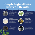 Vitamin E 400 IU Softgels Supplier - Skin Heart Eye Immune