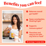 Blueberry Cream Powder Factory - Vitamin Mineral Energy