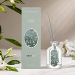 Perfume Set - Manufacturer Long-lasting Floral Fruity Cologne Classic Box Unisex
