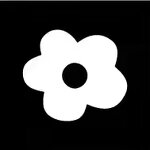 Hoodie - Manufacturer 100%Cotton Denimes Puff Printing Heavyweight Men