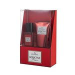 Gift Set Manufacturer - 2025 Body Mist and Body Lotion Set 1001 Sense