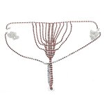 Body Chain - Manufacturer Rhinestone Sexy Thong Panties Transparent