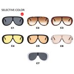 Sunglasses - Manufacturer Large Frame Windproof Mask One Piece Black