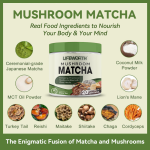 Reishi Matcha Powder Supplier - Lion's Mane Ceremonial Grade