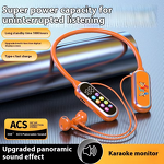 Neckband Earphones Manufacturer - Ultra-Long Life Holographic Deep Bass