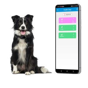 GPS Tracker - Manufacturer Real-Time Airtags IP67 Waterproof Plastic Pets Dog Bag