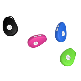 GPS Tracker - Manufacturer Real-Time Airtags 4G WiFi Plastic Pets Children Adults