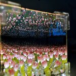 Night Light - Manufacturer DIY Tulip Mirror ABS Handmade Garden Ornament Bedroom