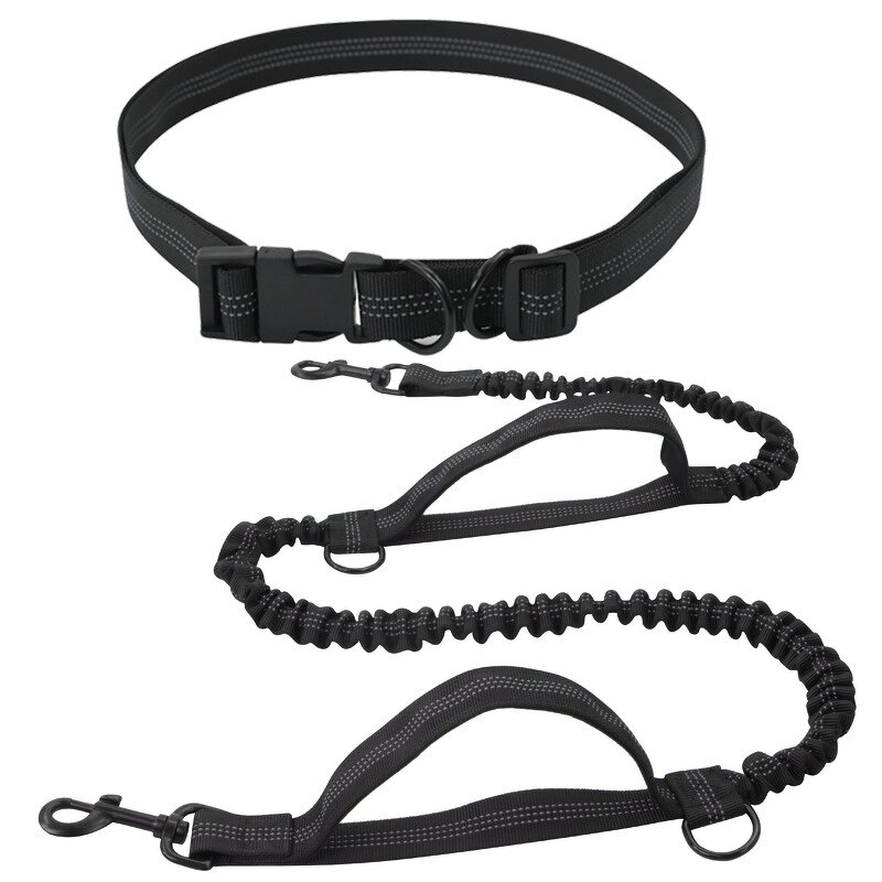 Dog Leash - Manufacturer Dual Handle Nylon Stormproof Elastic Pet Running Outdoor Waist Belt