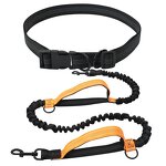 Dog Leash - Manufacturer Dual Handle Nylon Stormproof Elastic Pet Running Outdoor Waist Belt