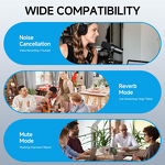 Lavalier Mic - Manufacturer 2 in 1 Professional iPhone iPad Android Charging Case Noise Cancellation