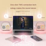 BT Speaker Manufacturer - Mini Retro Classical Bass Portable Wireless Subwoofer