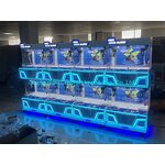 Toy Machine Manufacturer - New 4-Player Coin-Operated with Doll Gifts