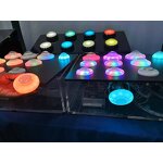 Arcade Game Parts Manufacturer - Coin Operated Ball Top Joystick Controls