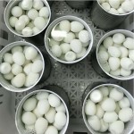 Professional Quail Eggs Factory - Airt Seal Fresh Keeping Design