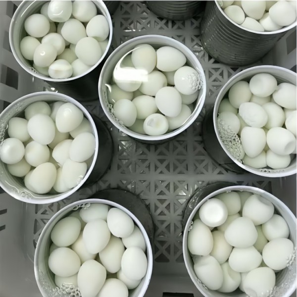 Professional Quail Eggs Factory - Airt Seal Fresh Keeping Design