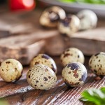 Peeled Quail Eggs Manufacturer - Boiled Water Canned Export Supplier