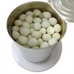 Resealable Lid Quail Eggs Supplier - Home Pantry Storage Design