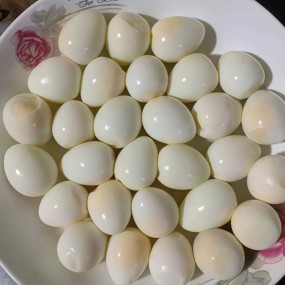 Seasoned Quail Eggs Supplier - 850g Canned Snack Wholesale