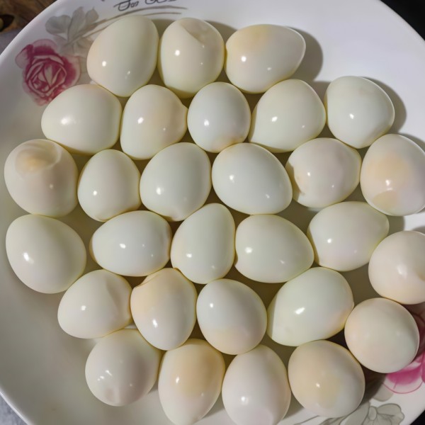 Seasoned Quail Eggs Supplier - 850g Canned Snack Wholesale