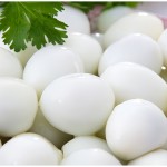 Premium Quail Eggs Manufacturer - Wholesale Canned Food China