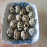 Canned Quail Eggs Factory - 850g Popular Snack Food Item