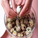 Professional Quail Eggs Factory - Airt Seal Fresh Keeping Design