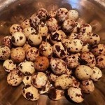 Canned Quail Eggs Factory - 850g Popular Snack Food Item