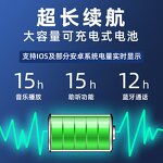 Audio Amplifier Manufacturer - Portable Charging for Auxiliary Listening
