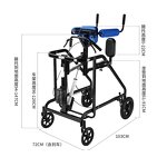 Walking Aid Manufacturer - Professional Manufactured Convenient