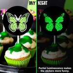 Photoluminescent Film - Manufacturer 3HAO Self-Adhesive Glow in Dark PET Yellow Green