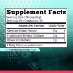 Creatine Powder - Manufacturer High Quality 5000mg Energy Adult Not for Pregnant