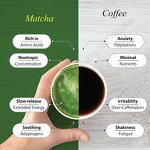 Matcha Powder - Manufacturer Wholesale Private Label 30g Tin Ceremonial Grade