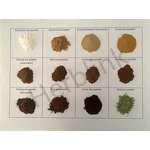 Kombucha Powder - Manufacturer Black Tea Fermentation Instant Pure Powder