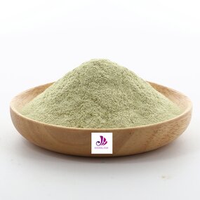 Cucumber Powder - Manufacturer Natural Food Grade Spray Dried Juice Extract