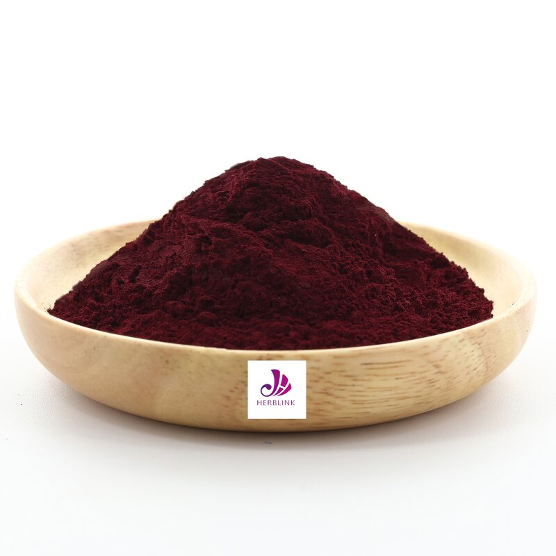 Elderberry Extract - Manufacturer Natural Black Fruit Powder Bulk Supply