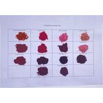 Cranberry Extract - Manufacturer 1%-50% Proanthocyanidins Matcha Blend Powder