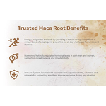 Maca Powder - Manufacturer 0.6% Macamide Black Root Extract for Men