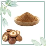 Shiitake Extract - Manufacturer 5%-60% Polysaccharide Mushroom Powder Hot