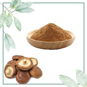 Shiitake Extract - Manufacturer 5%-60% Polysaccharide Mushroom Powder Hot
