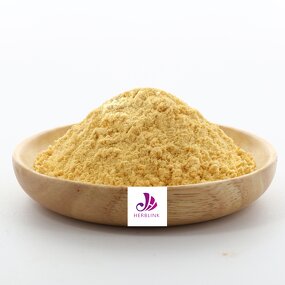 White Tea Powder - Manufacturer Natural Instant Pure Tea Extract Bulk