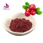 Cranberry Powder - Manufacturer Natural Juice Extract Bulk Freeze Dried
