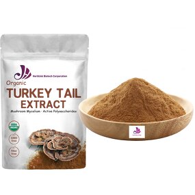 Turkey Tail Extract - Manufacturer 10%-50% Polysaccharides Coriolus Versicolor