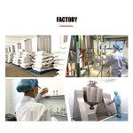 Elderberry Extract - Manufacturer Natural Black Fruit Powder Bulk Supply