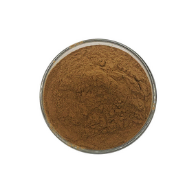 Hops Extract - Manufacturer High Quality Flower Powder Free Sample Supply