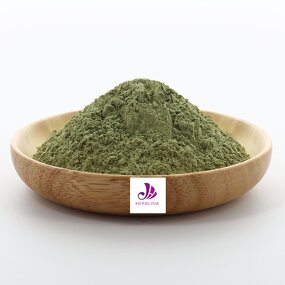 Barley Grass Powder - Manufacturer Natural Juice Extract Nutrition Enhance