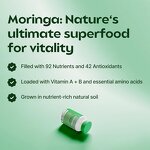Moringa Capsules Manufacturer - Natural Green Antioxidant for Energy & Skin