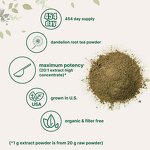 Dandelion Root Powder Manufacturer - Herbal Extract 454g for Adults