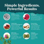 Milk Thistle Capsules Manufacturer - Herbal Extract for Liver & Bone Health 70 Count