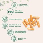 Turmeric Curcumin Capsules Manufacturer - with Vitamin C & Antioxidant Adult